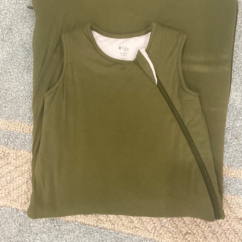 Kyte Baby 6-18m 2.5tog